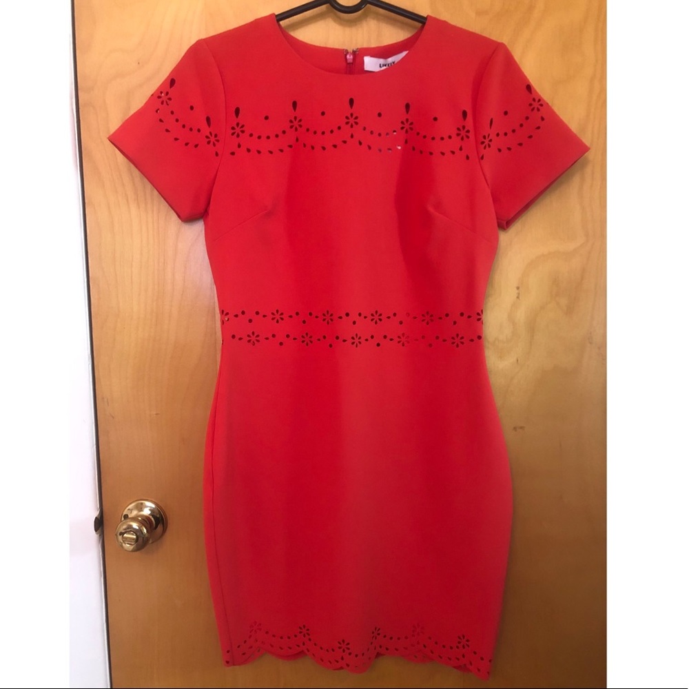 NWT! Red Dress with Laser Cut Flowers
